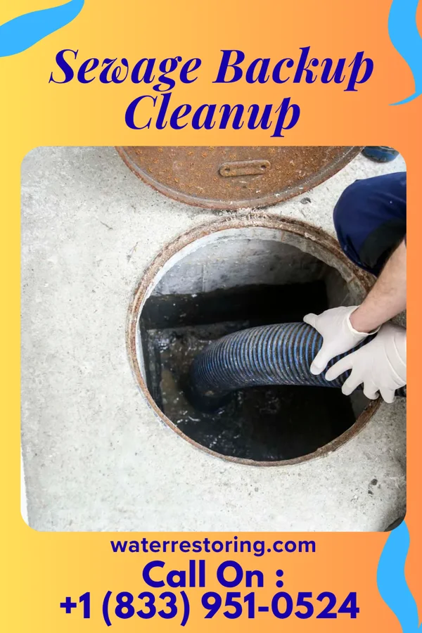 Sewage Backup Cleanup in Lengby, MN