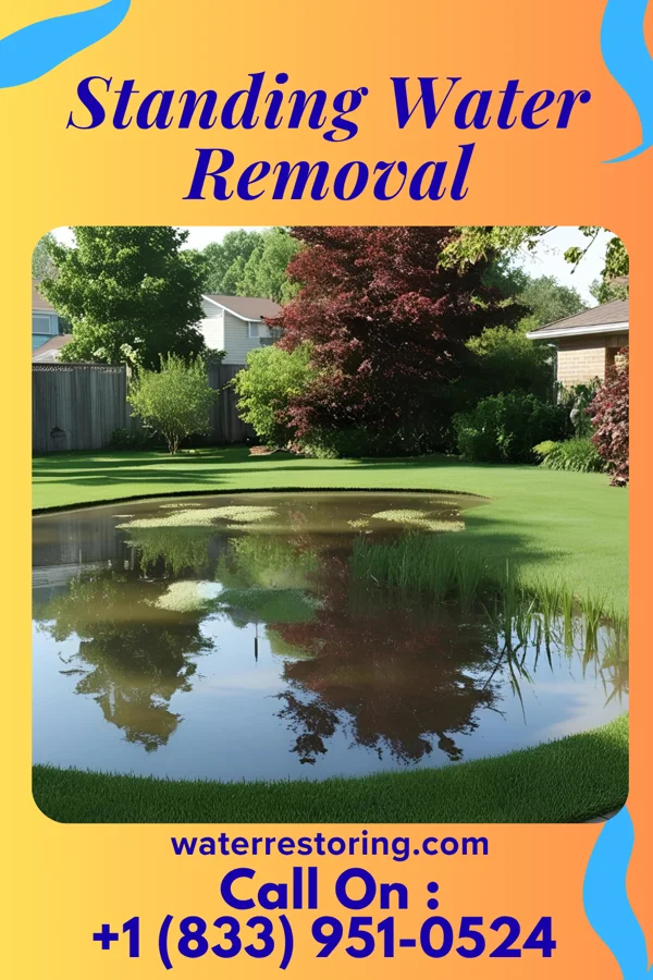 Standing Water Removal in Lengby, MN